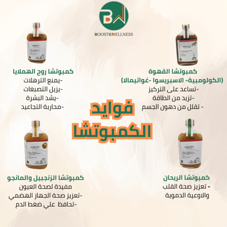 بكج 8 كمبوتشا