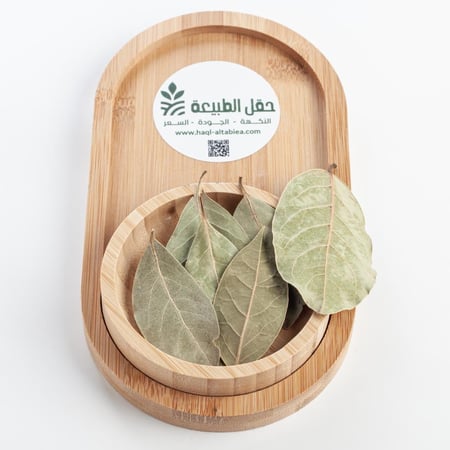 ورق غار