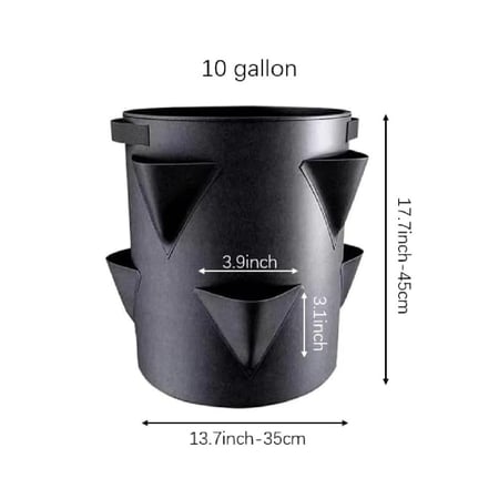 اربع عبواة - لزراعة نباتات الفرولة