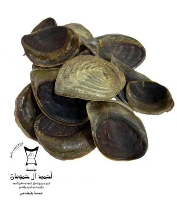 ظفر حافور وسط