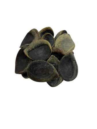 ظفر حافور جابو