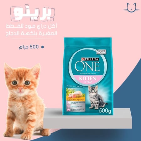 بورينا اكل جاف للقطط الصغيره بنكه الدجاج 500 جرام