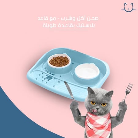 صحن أكل وشرب مع قاعدة بلاستك طويلة