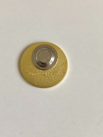 بروش مغناطيس السيفين والنخلة