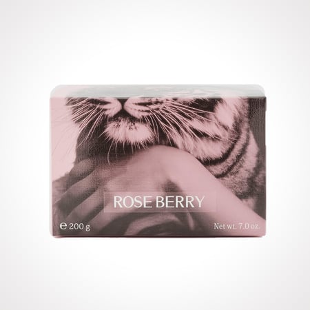 بودرة لافيرن