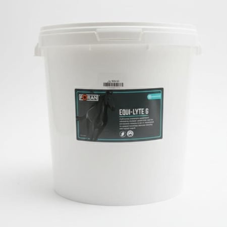 مكمل غذائي متوازن لتعويض الإلكتروليتات والمعادن الأساسية للخيول أثناء التمرين أو السباقات - 20 كيلو  |  Equi-Lyte G