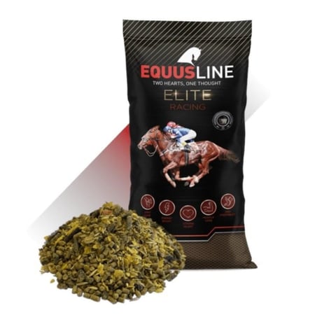 علف عز السبق غذاء مكثف لخيول السباقات |  Racing Mix