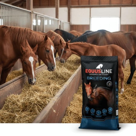 علف عز المرابط لنمو متكامل للأفراس والمهور – تغذية متوازنة من الحمل حتى الفطام |  Foals & Mares Mix