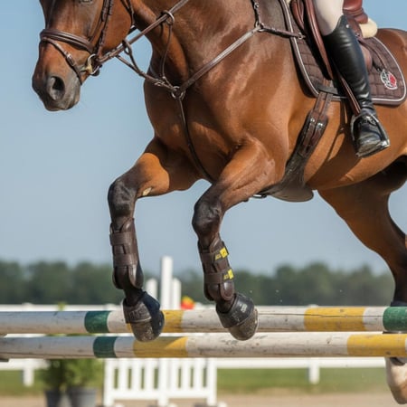 لطاشات جلد بني لحماية ساق وقوائم الخيل | متوفرة بعدة مقاسات S / M / L