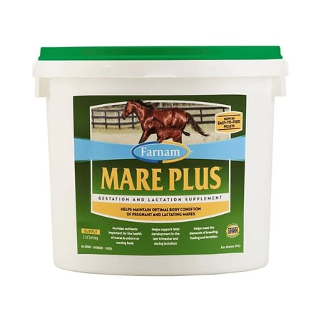 مكمل غذائي متكامل لدعم صحة وخصوبة الأفراس أثناء الحمل والرضاعةِ | MARE PLUS