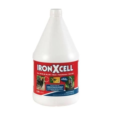 مكمل غذائي للخيول غني بالحديد وفيتامين B لتعزيز الطاقة والأداء 3.75 لتر | Iron X cell