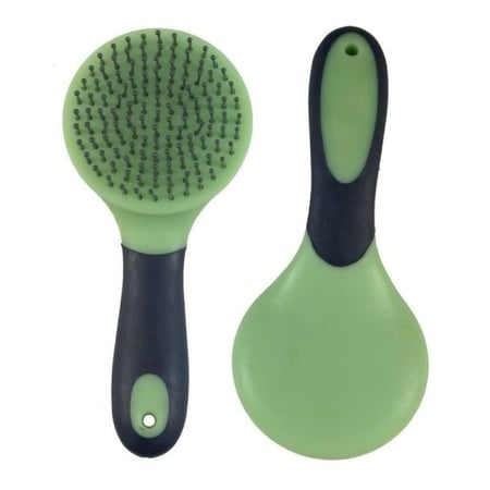 فرشاة الذيل   Tail Brsh