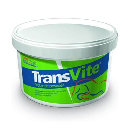بروبيوتيك للخيول لدعم صحة الأمعاء وتعزيز المناعة والأداء  Transvite powder - 1.5Kg