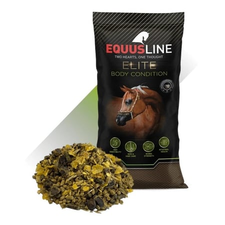 علف عز الجمال مزيج متكامل لتحسين الحالة البدنية والنحت العضلي للخيول  |  Body Condition Mix