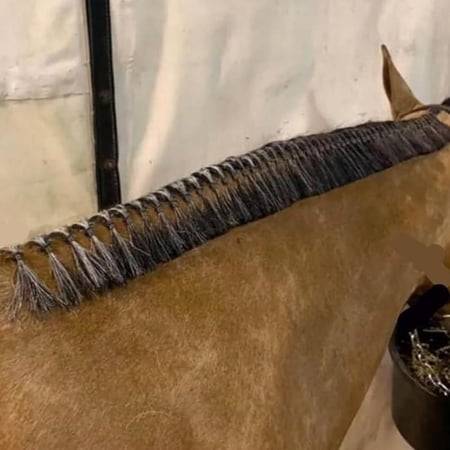 أربطة شعر سوبر من حلول العناية بالخيول لون اسود أو ابيض | Super Bands