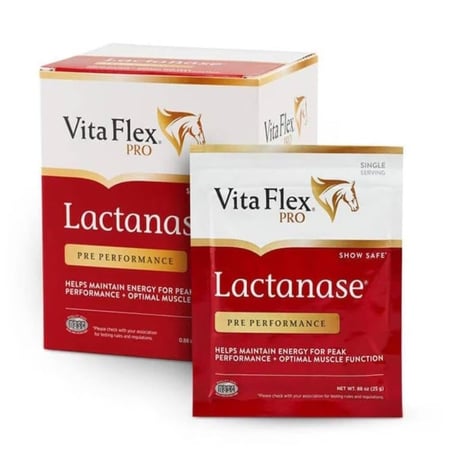بودرة لاكتانس لرفع الطاقة والتقليل من تعب العضلات - LACTANASE  25g