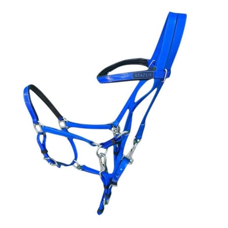 مجموعة لجام  تحمل من STATUS | متوفرة بعدة الوان