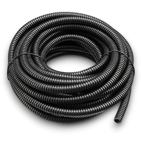 لي جرجور اسود