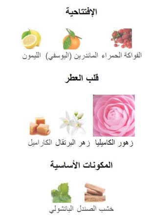مجموعة عطور الحقيبة ( 3 عطور )