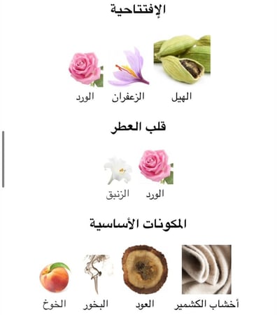 SPECIAL - سبيشال