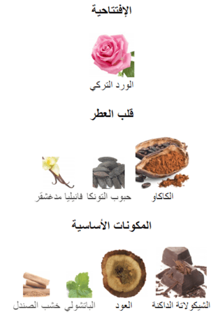 ARTIST - ارتست