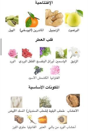 BOUQUET - بوكيت