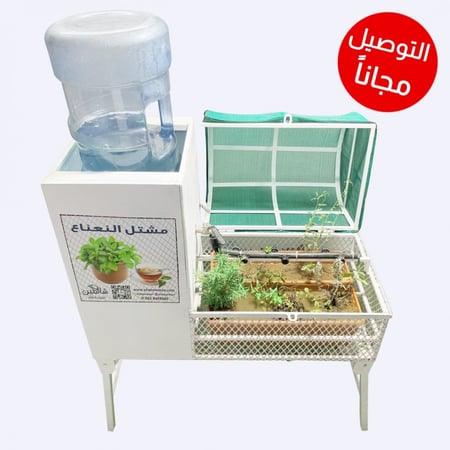 مشتل النعناع