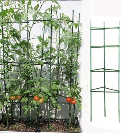 دعامات لتثبيت النباتات الداخلية والخارجية