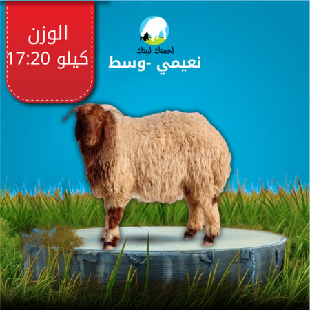 نعيمي -وسط