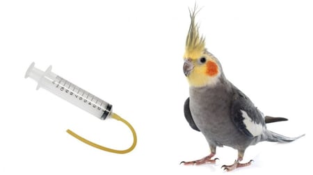 ابره بلاستك استخدام محدود 20 م