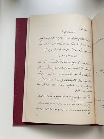 لهجة البدو في إقليم ساحل مريوط .. دراسة لغوية