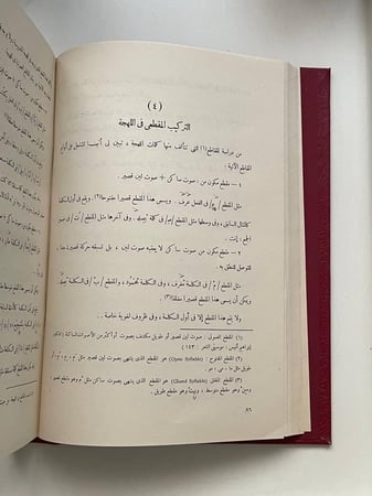 لهجة البدو في إقليم ساحل مريوط .. دراسة لغوية