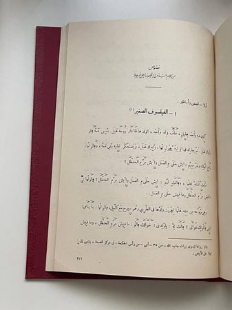 لهجة البدو في إقليم ساحل مريوط .. دراسة لغوية