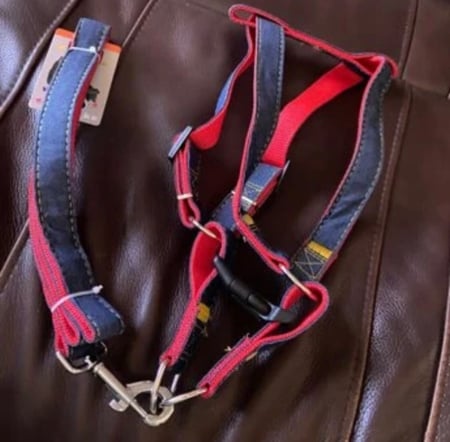 صدرية مشد مع حزام harness- leash