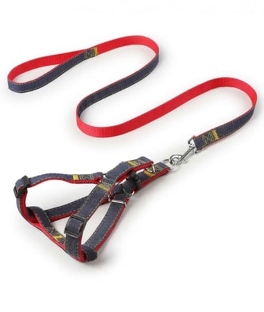 صدرية مشد مع حزام harness- leash