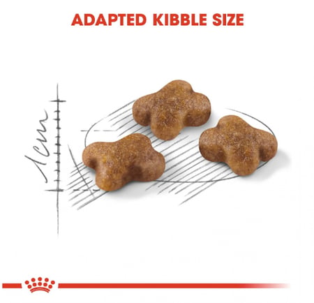 رويال كانين كيتن طعام جاف للقطط الصغيرة باحجام متعددة  Royal canin Kitten