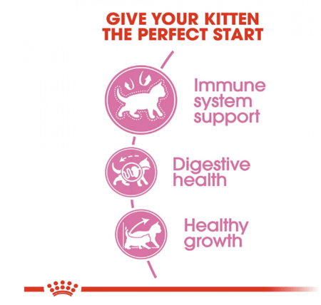 رويال كانين كيتن طعام جاف للقطط الصغيرة باحجام متعددة  Royal canin Kitten