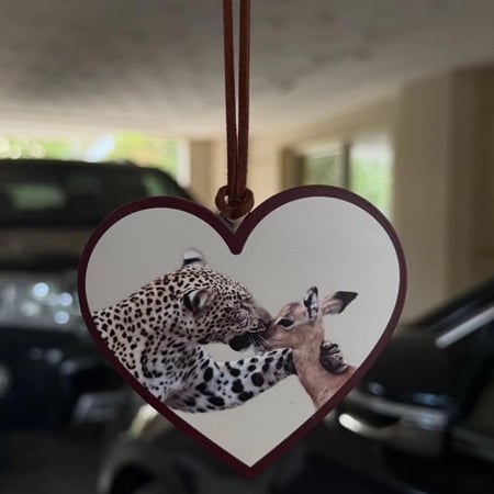 تعليقة  سيارة