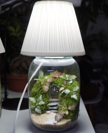 ابجورة تيراريوم بوابة عالم الأقزام