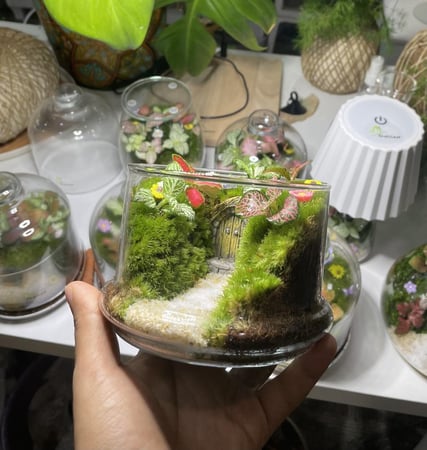 منزل الساحرة