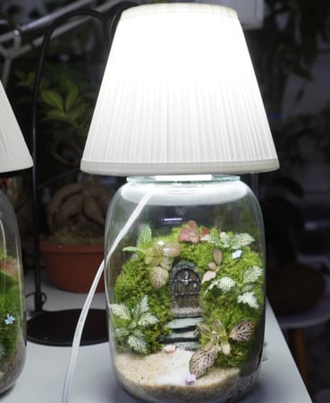 ابجورة تيراريوم بوابة عالم الأقزام