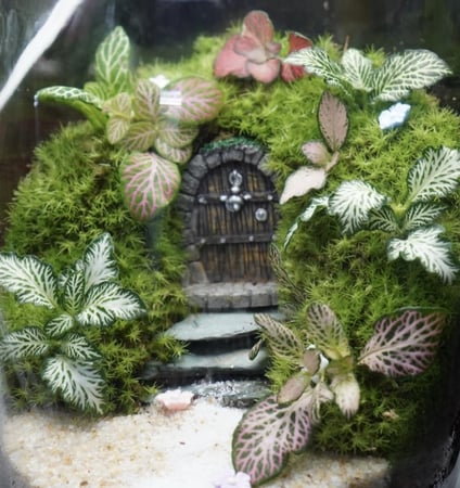 ابجورة تيراريوم بوابة عالم الأقزام