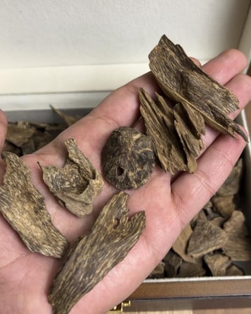 كلمنتان مالينو دبل