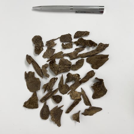 كلمنتان مالينو سوبر مرتفع