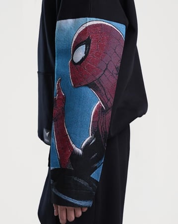 Spidey and Silk Hoodie