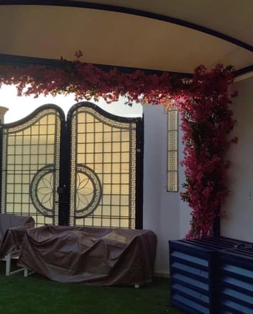 شجرة جهنمي المتر 255 ريال