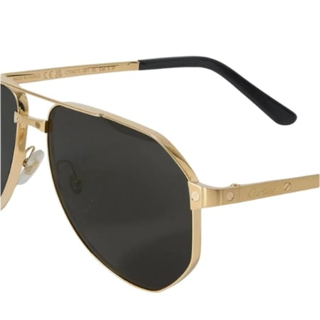 Cartier Sunglasses | نظارة كارتييه شمسية للرجال