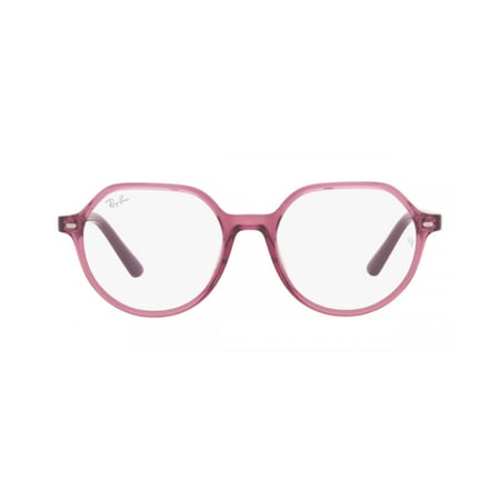 RayBan Frame