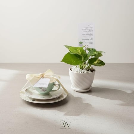 نوفمبر : اطلالة شتاء حنين غيم ورائحة مطر | هدية شتوية