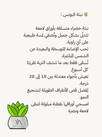 نوفمبر : اطلالة شتاء حنين غيم ورائحة مطر | هدية شتوية